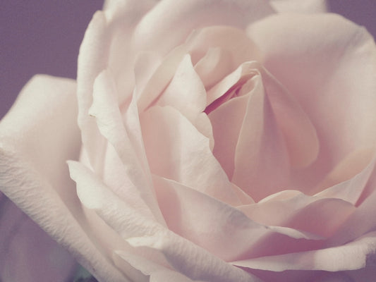 Be You Skincare... In the beginning (English)